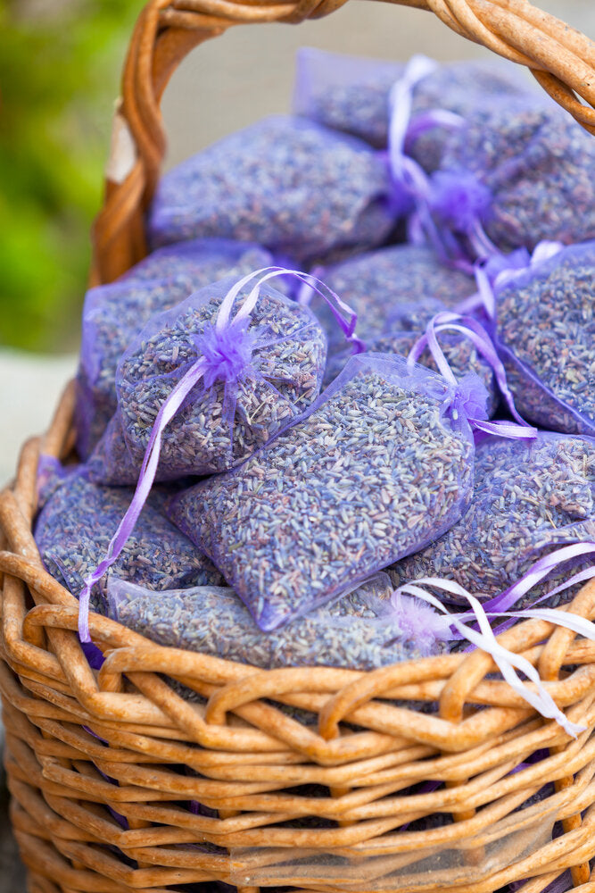 Lavender Sachets in Two Sizes