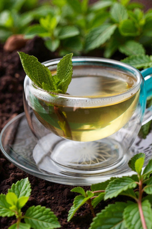 What Your Teapot Is Made Of Matters