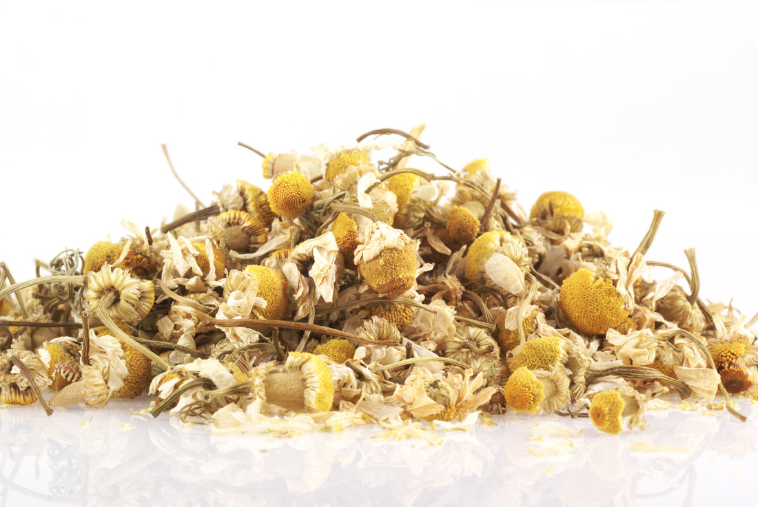 Dried Chamomile pictured
