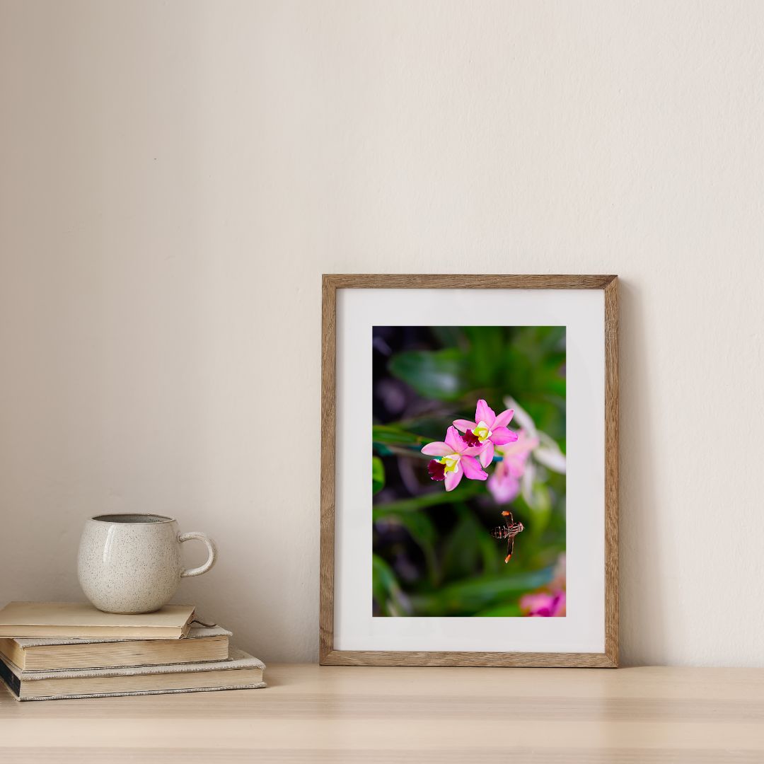 Framed photograph of a pink flower on a wooden shelf with books and a mug.