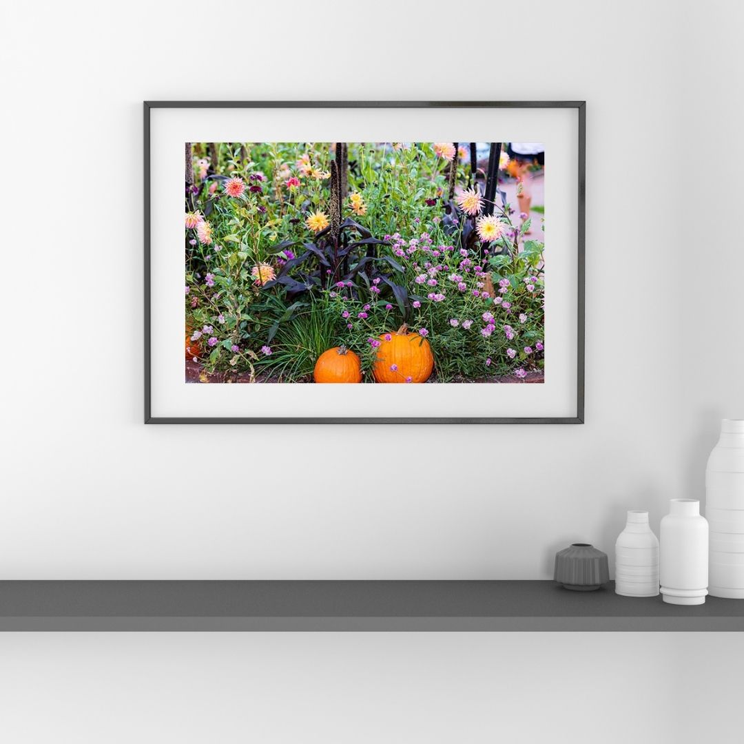 Pumpkins in the Garden -- Digital Downloadable & Printable